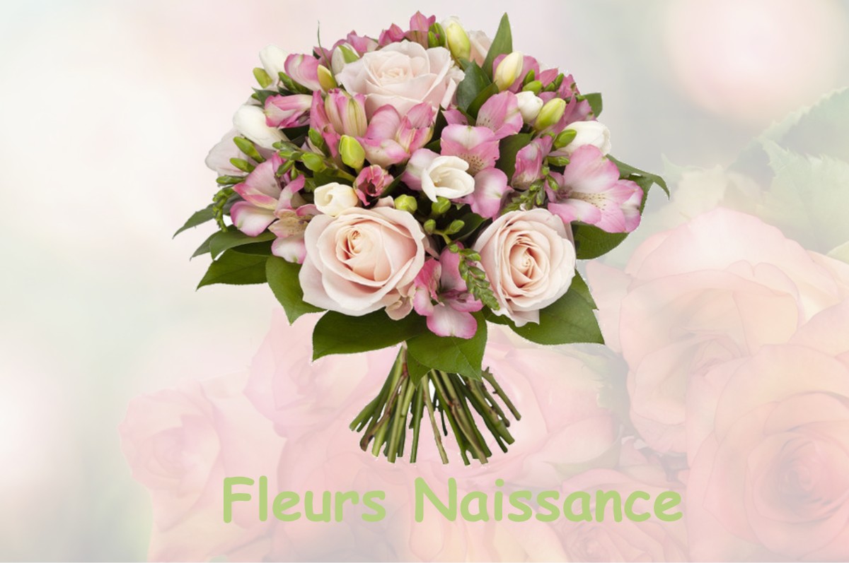 fleurs naissance ERNEVILLE-AUX-BOIS