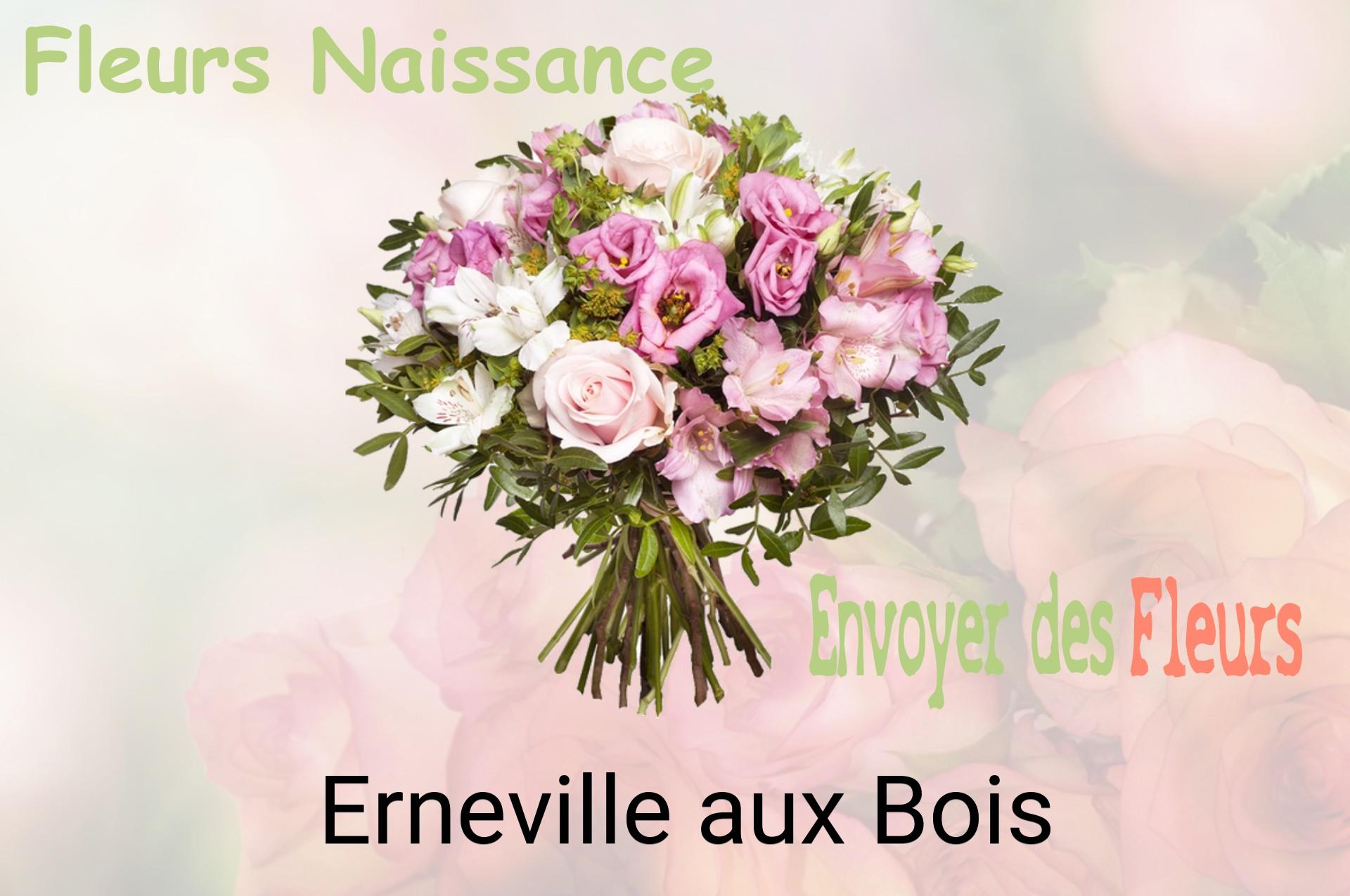 Bouquet de fleurs de naissance livré à Erneville-aux-Bois