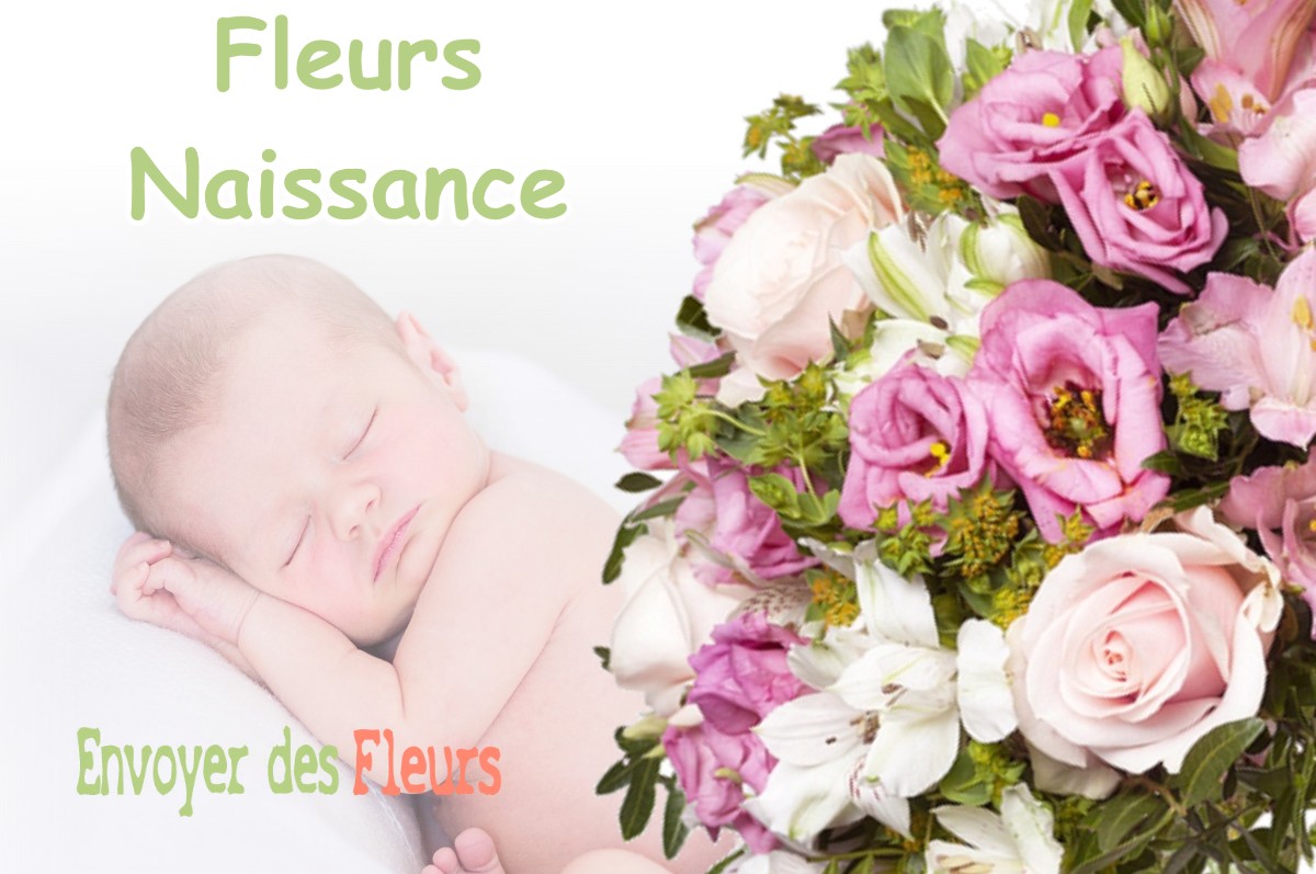 lIVRAISON FLEURS NAISSANCE à ERNEVILLE-AUX-BOIS